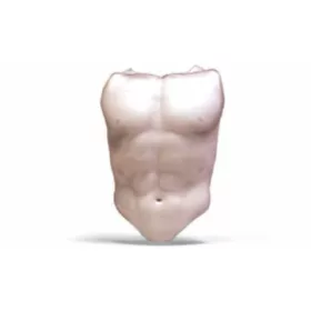 Alginate AL MT (0,5kg)
